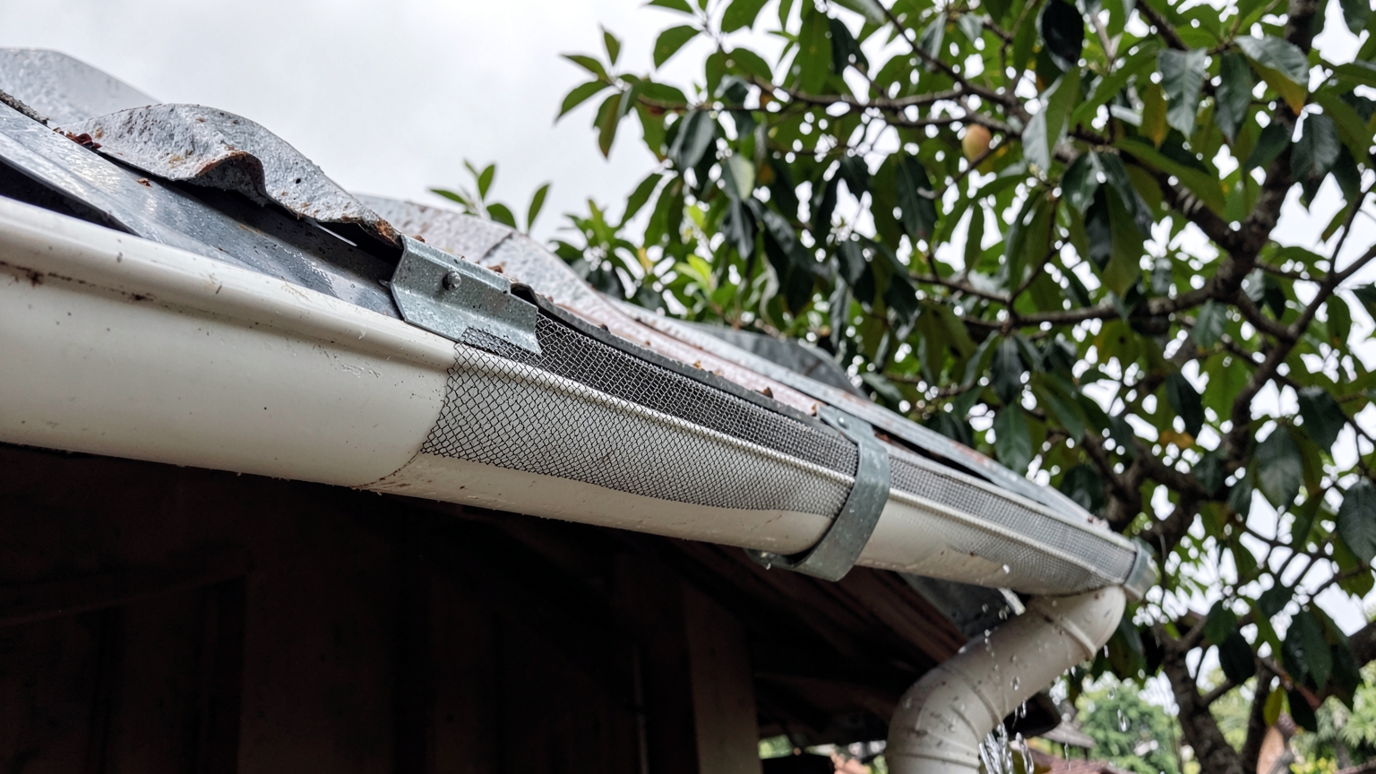 A PVC gutter with a mesh leaf guard fixed under the edge of a zinc roof, carrying rainwater to a downpipe.